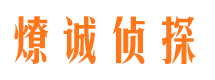 山城市侦探公司